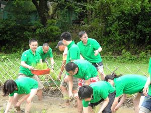 安信員工 - 綠田園耕種