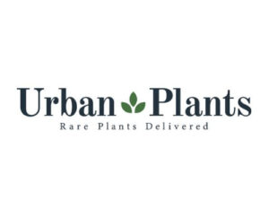 安信信用卡全年優惠 - Urban Plants